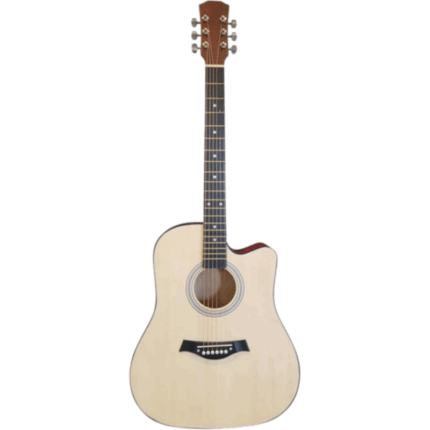 Fender 41-Inch Full-size Acoustic Guitar