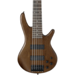 Ibanez 6 String Bass Guitar