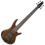 Ibanez 6 String Bass Guitar