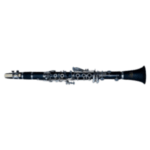 Glory GLY-PBK Professional Ebonite Bb Clarinet - Black